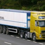 شحن الحيوانات الأليفة من مصر إلى جدة: شروط ومتطلبات شحن من مصر إلى جدة: كل ما تريد معرفته