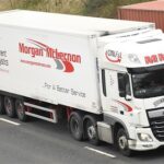 نقل من مصر للسعودية: دليل شامل