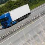 اصطحاب حيوانك الأليف معك بسهولة: شحن حيواناتك الأليفة من مصر للسعودية دون قلق!