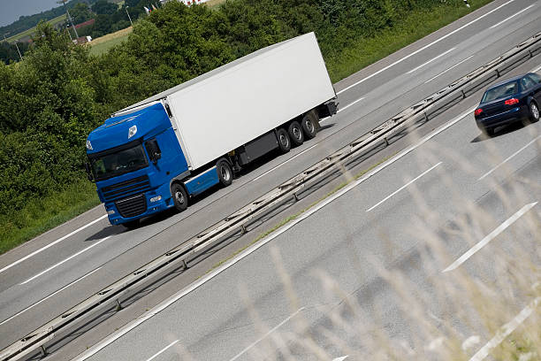 اصطحاب حيوانك الأليف معك بسهولة: شحن حيواناتك الأليفة من مصر للسعودية دون قلق!