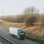 اصطحاب حيوانك الأليف معك بسهولة: شحن حيواناتك الأليفة من مصر إلى السعودية دون قلق!