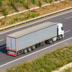 شحن الحيوانات الأليفة من مصر إلى جدة: شروط ومتطلبات